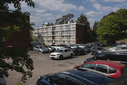 Petition Demands Progress on Alton Estate Regeneration