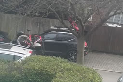 Cycling Team Manager