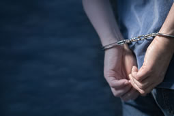 Prolific Putney Burglar Admits Charges