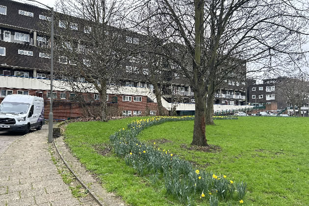 Residents fear a loss of green space near their homes on the Lennox Estate 