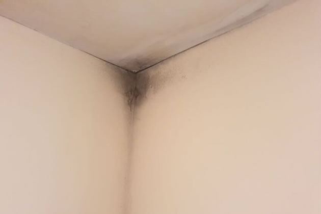 Mould Can Be Spotted In Corners Of Colin's Home