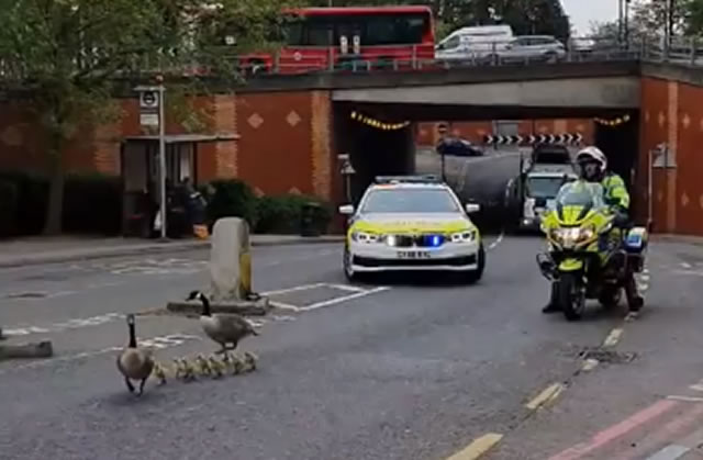 Police escort for growing family in Roehampton Vale 