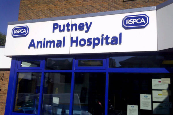 Putney Animal Hospital closed in 2020 