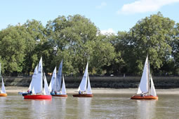 Sailing Spectacle Returns After Fifty Year Absence