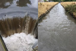 Putney MP Reacts with Fury to River Wandle Sewage Spills