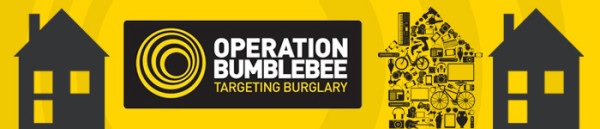 Operation Bumblebee