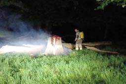 Wildfire Warning Issued which Includes Richmond Park