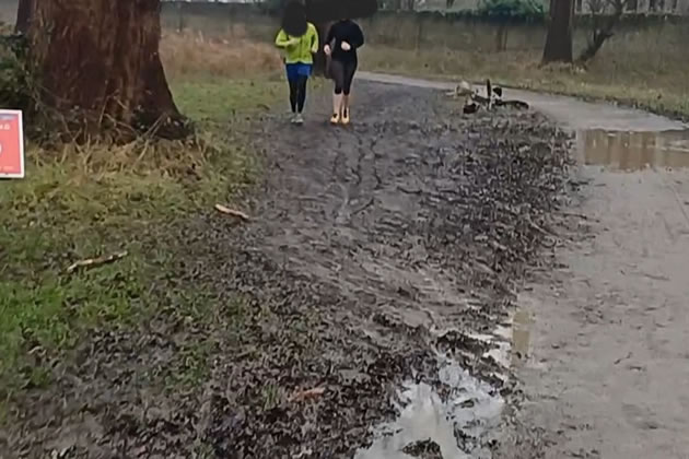 Damage in Richmond Park. Picture: Caroline Shah