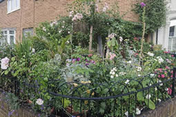 Wandsworth in Bloom 2026 Opens for Entries