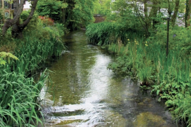 The Upper River at Carshalton