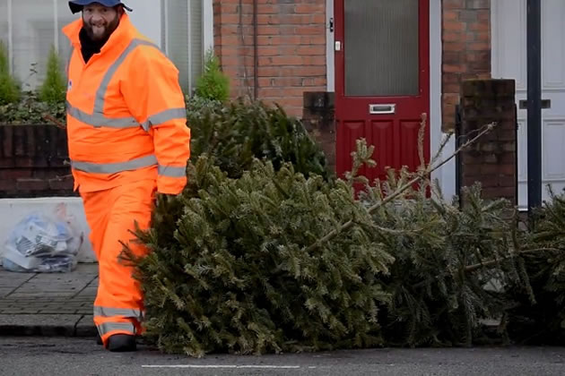 Free Christmas Tree Collection is Now Available