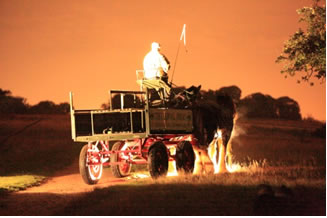 Halloween Horse-Drawn Carriage Rides In Richmond Park